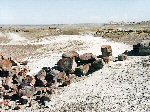 Painted Desert