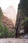 Zion National Park