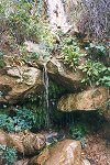 Zion National Park