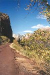 Zion National Park
