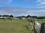 Menhirs