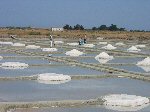 Zoutwinning op Ile de Noirmoutier