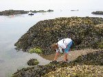 Op zoek naar Fruits de Mer