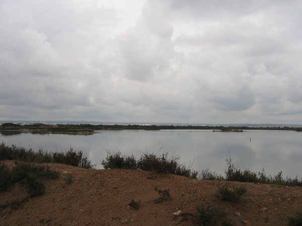 Salinas