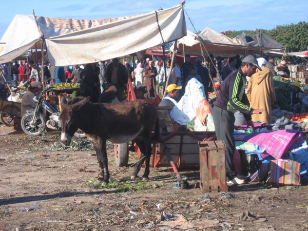 Markt in Dar Bouazza