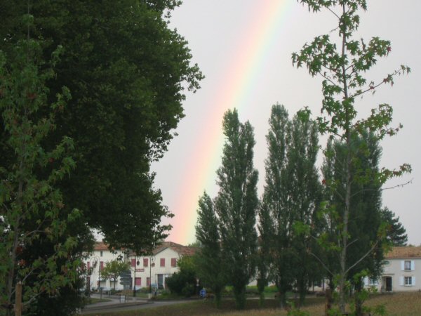 Regenboog