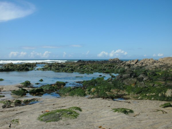 Wandeling langs het strand