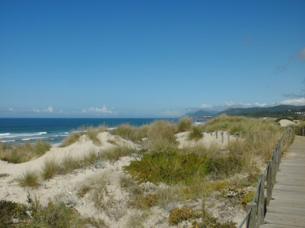 Wandeling langs het strand