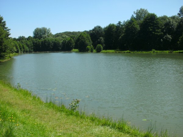 Het meertje in de buurt