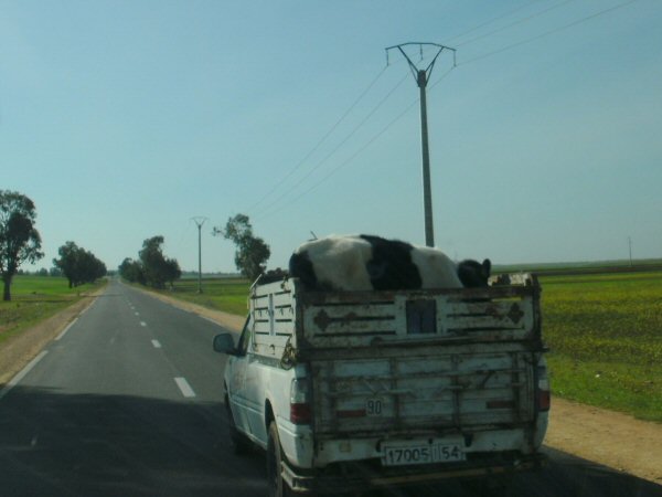 Op weg naar Ounara