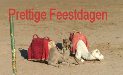 Prettige feestdagen