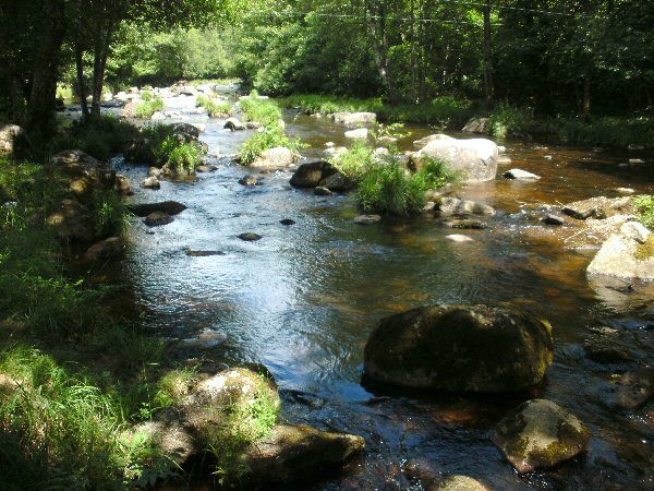 Met zicht op de rivier