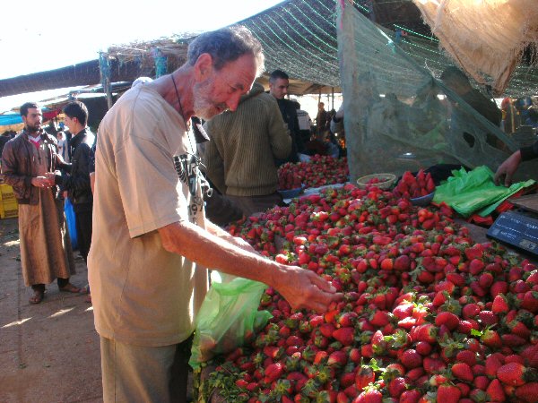 Aardbeien