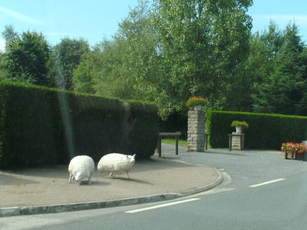 De schaapjes in Mzires-sur-Issoire