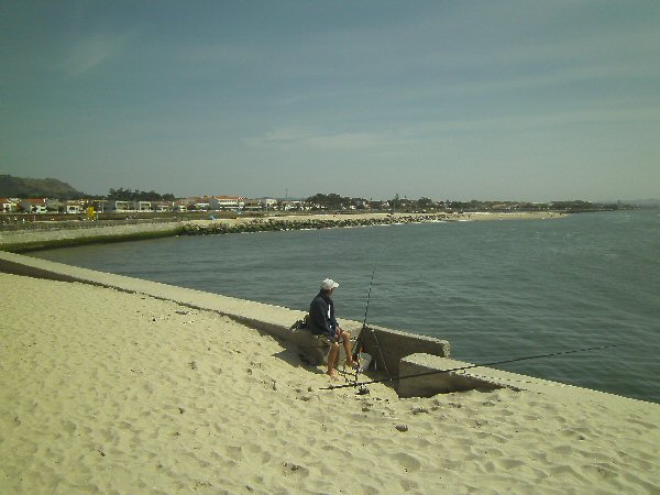 Visser op het strand