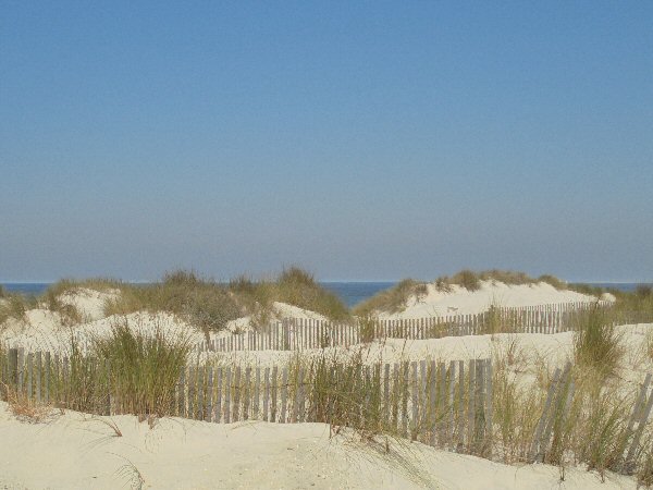 De duinen