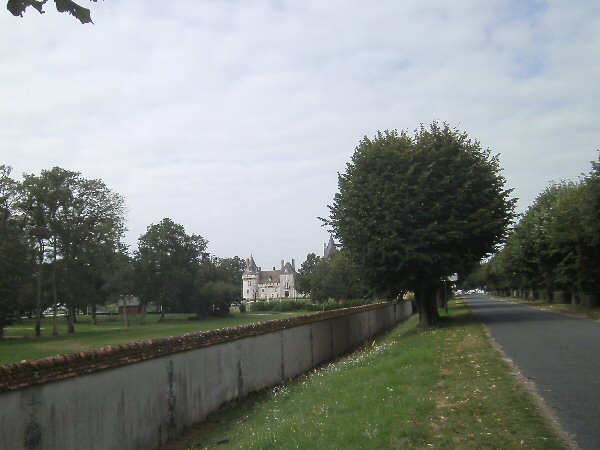 Het kasteel in Sully-sur-Loire