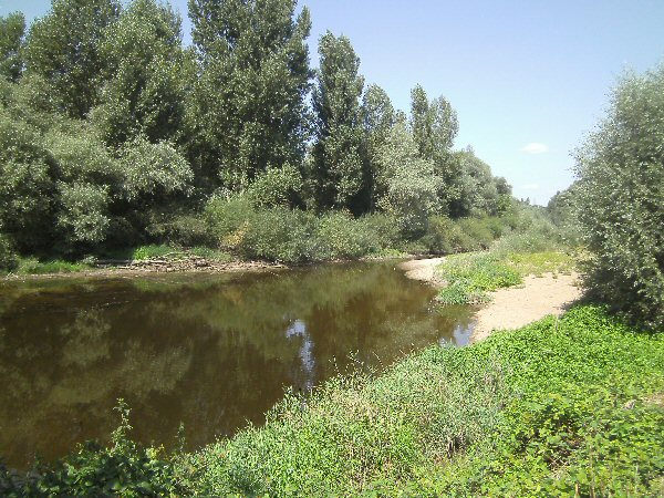 Zicht op de motorhomes langs het kanaal