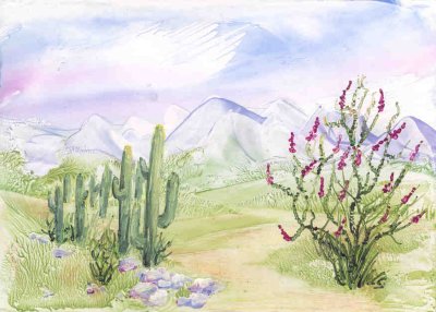 Landscape with cacti