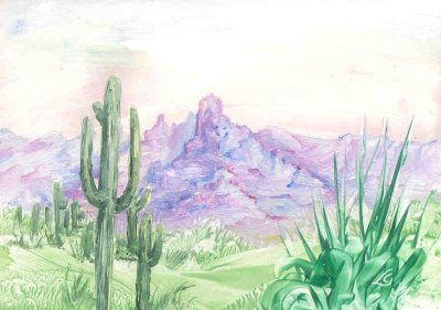 Landscape with cacti