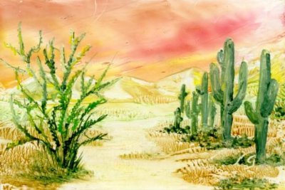 Landschap met cactus