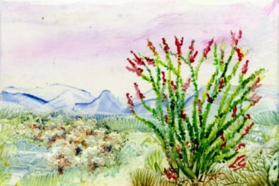 Landscape with cacti