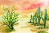 Landscape with cacti